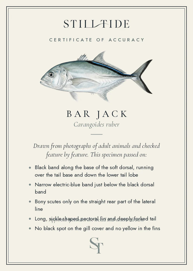Certificate of accuracy for the Bar Jack, listing each verified feature
