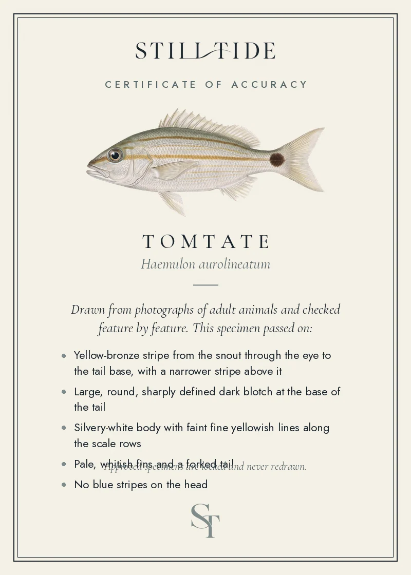 Certificate of accuracy for the Tomtate, listing each verified feature