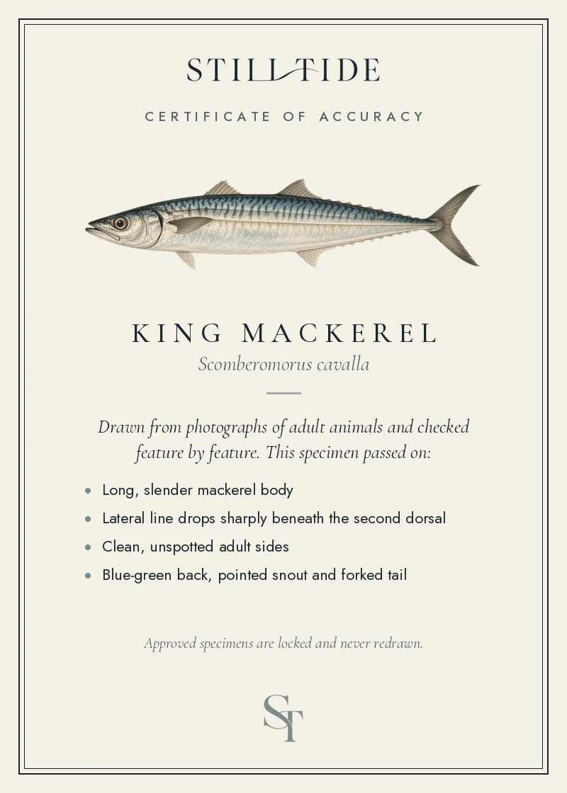 Certificate of accuracy for the King Mackerel, listing each verified feature
