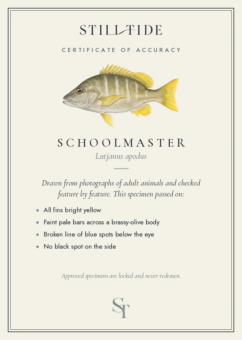 Certificate of accuracy for the Schoolmaster, listing each verified feature