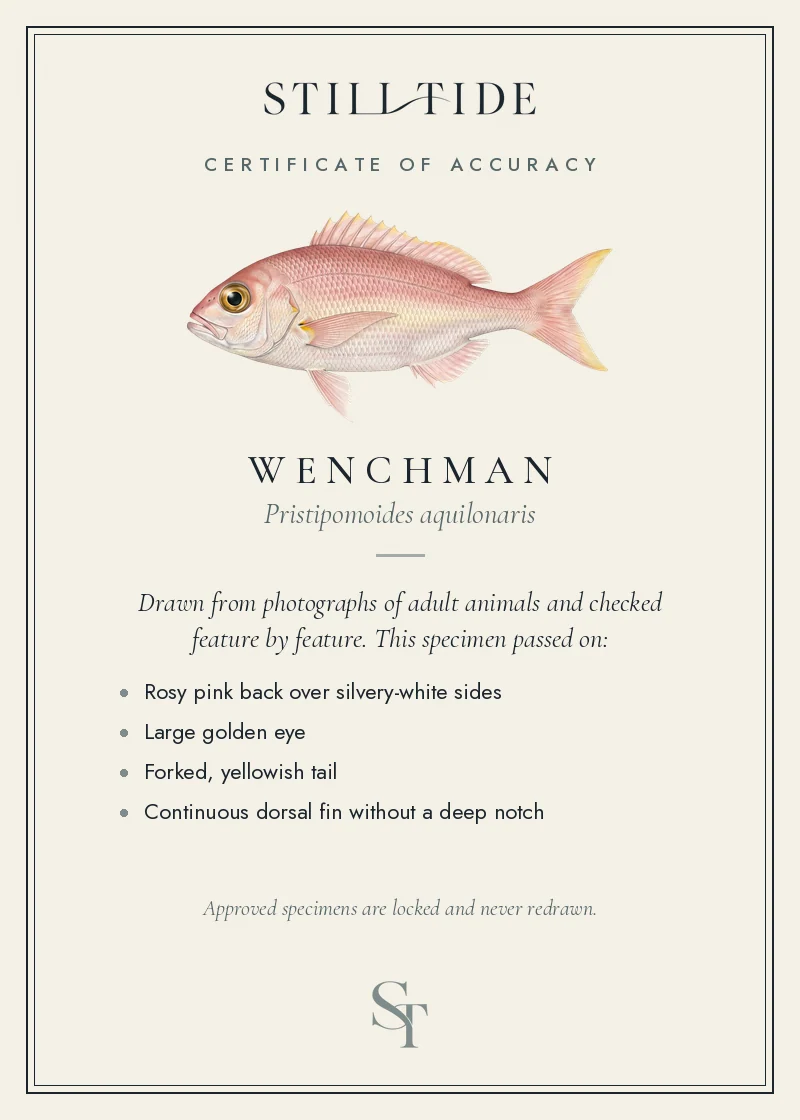 Certificate of accuracy for the Wenchman, listing each verified feature