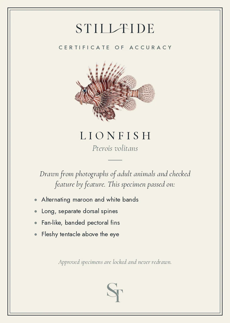 Certificate of accuracy for the Lionfish, listing each verified feature