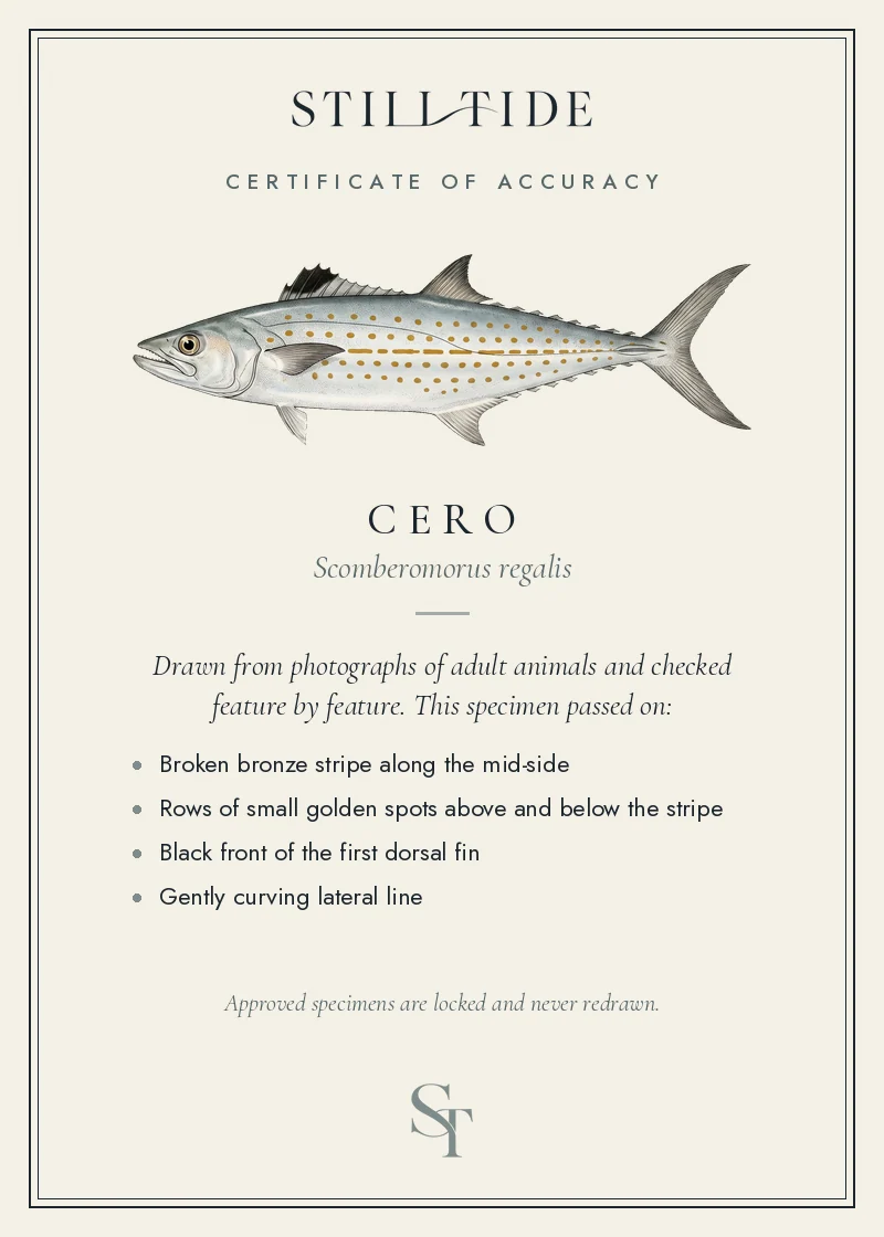 Certificate of accuracy for the Cero, listing each verified feature
