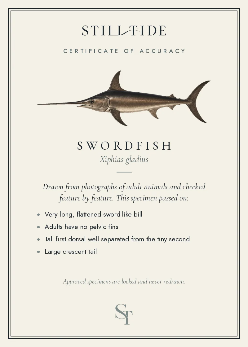 Certificate of accuracy for the Swordfish, listing each verified feature