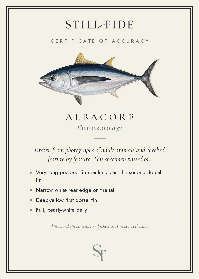 Certificate of accuracy for the Albacore, listing each verified feature