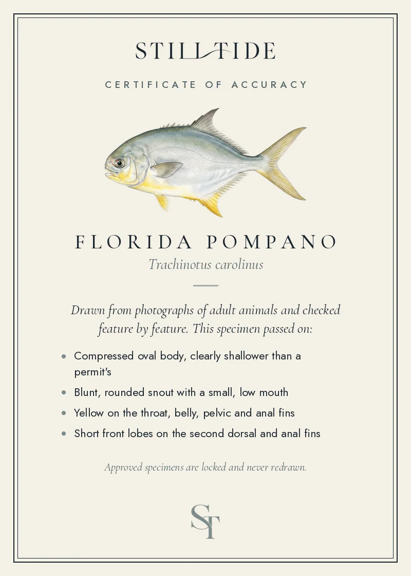 Certificate of accuracy for the Florida Pompano, listing each verified feature
