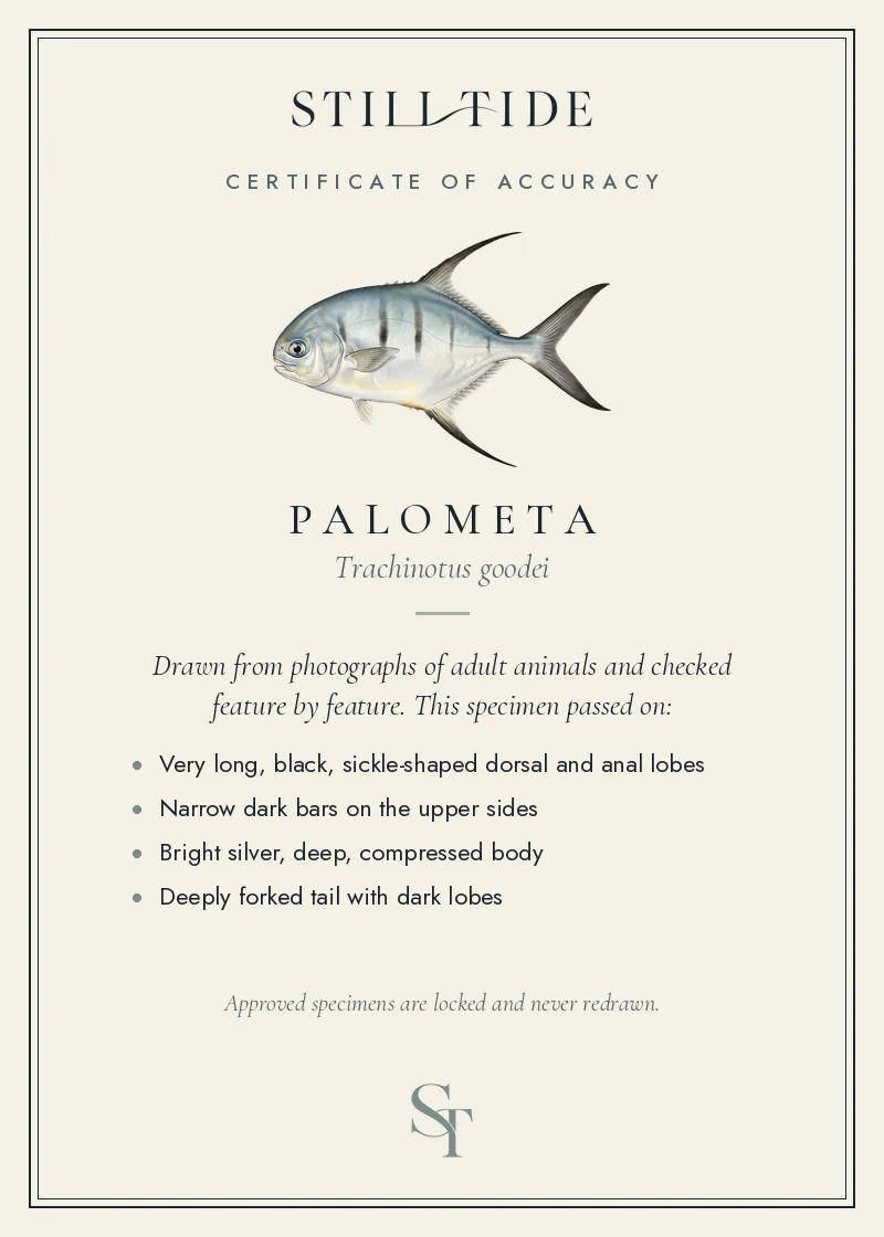 Certificate of accuracy for the Palometa, listing each verified feature