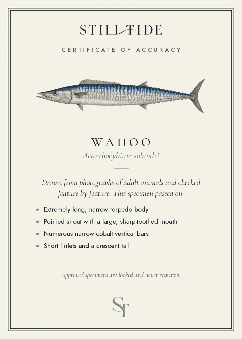 Certificate of accuracy for the Wahoo, listing each verified feature
