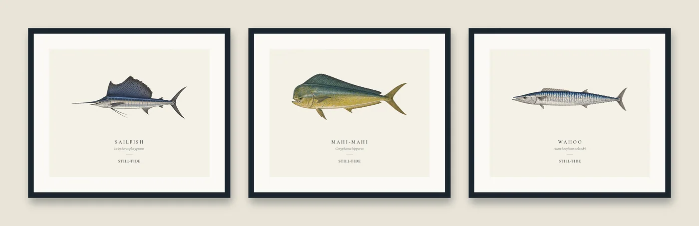 The Blue Water Trio: three framed prints hung together