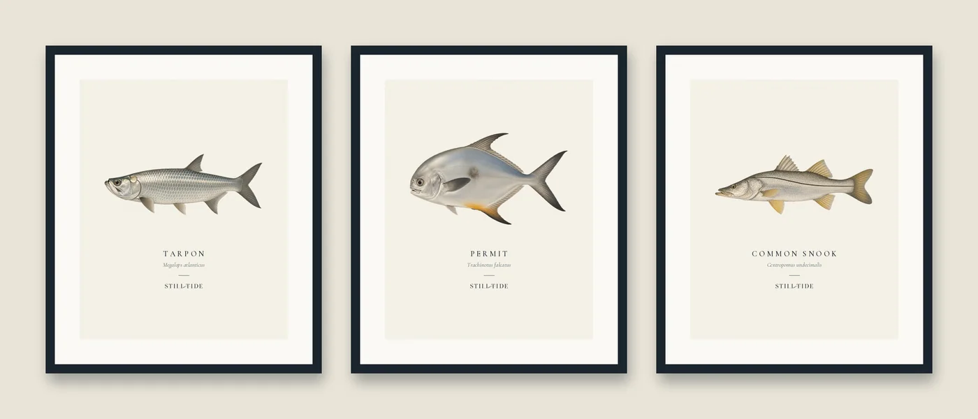 The Flats Trio: three framed prints hung together