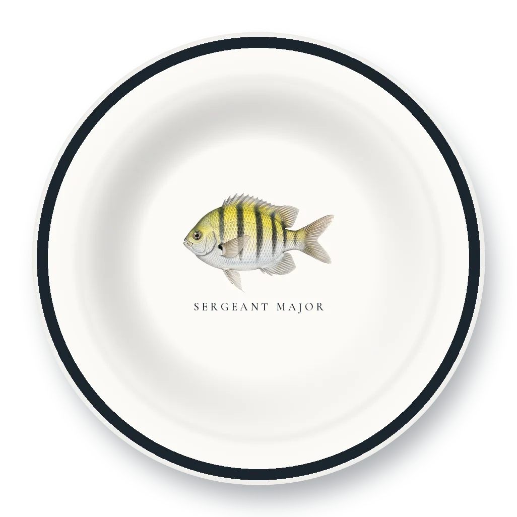 Enamel Bowl with Sergeant Major illustration