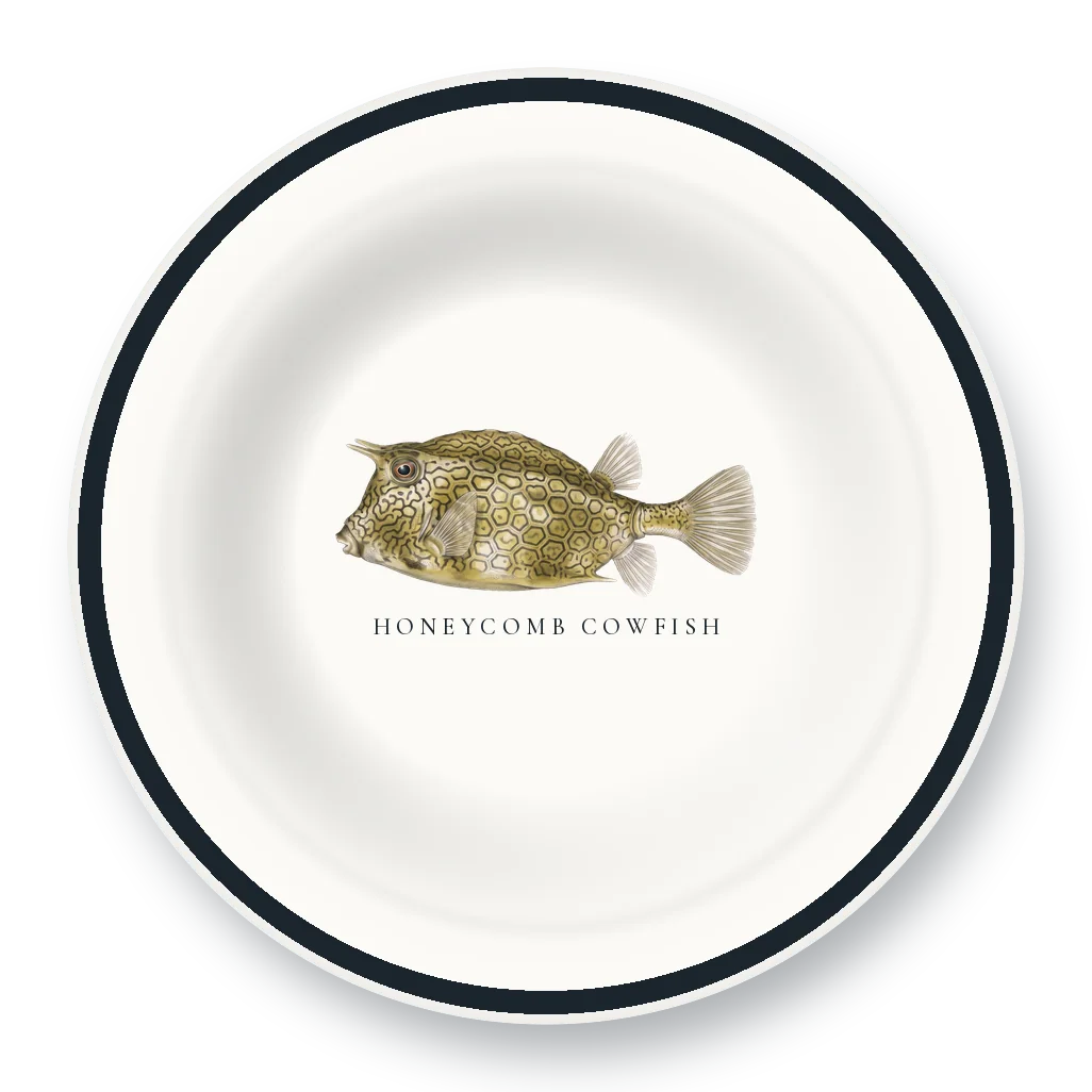 Enamel Bowl with Honeycomb Cowfish illustration