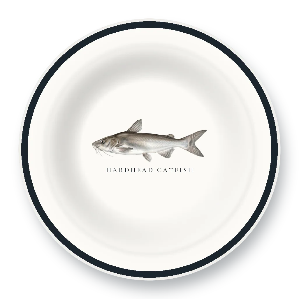 Enamel Bowl with Hardhead Catfish illustration