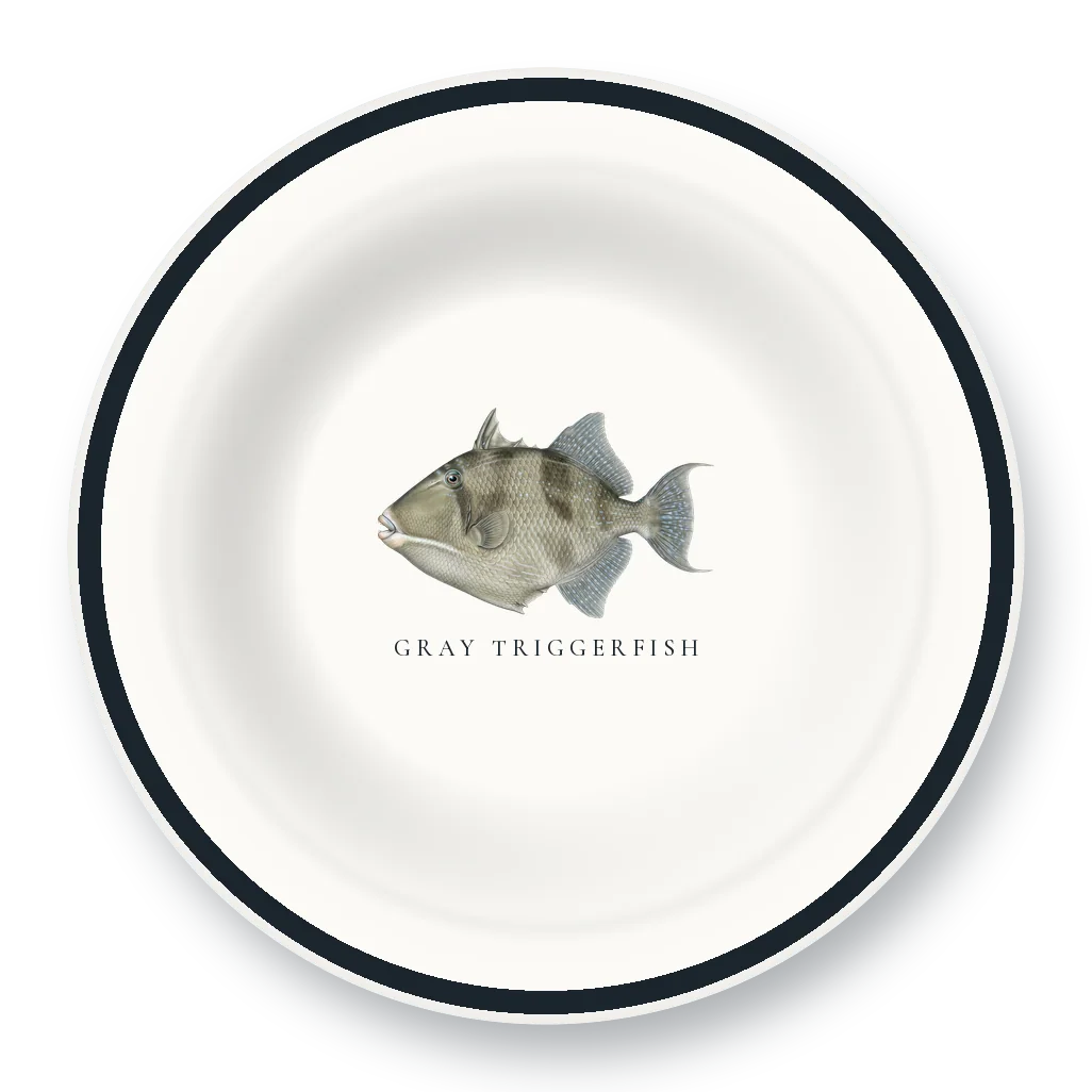 Enamel Bowl with Gray Triggerfish illustration