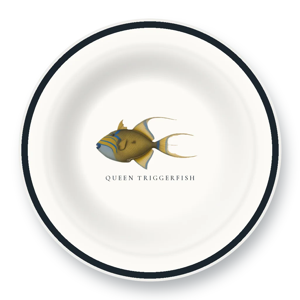 Enamel Bowl with Queen Triggerfish illustration