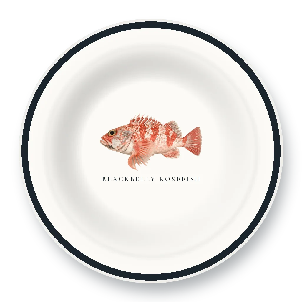 Enamel Bowl with Blackbelly Rosefish illustration