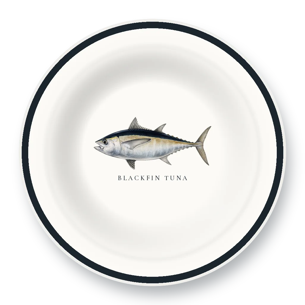 Enamel Bowl with Blackfin Tuna illustration