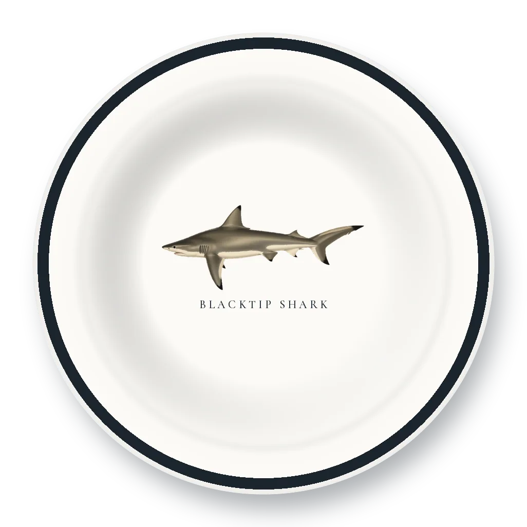 Enamel Bowl with Blacktip Shark illustration