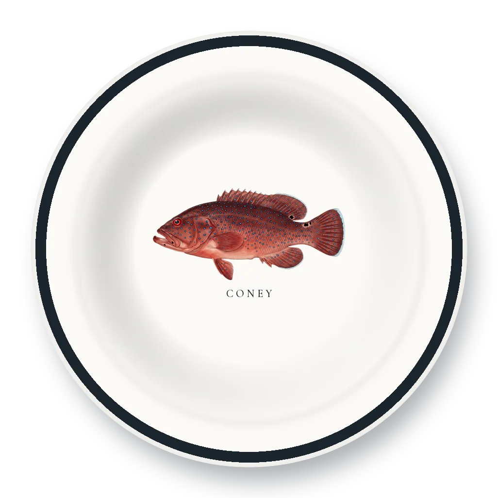 Enamel Bowl with Coney illustration