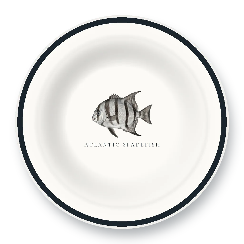 Enamel Bowl with Atlantic Spadefish illustration
