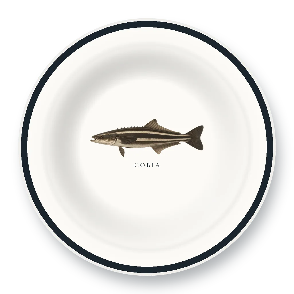 Enamel Bowl with Cobia illustration