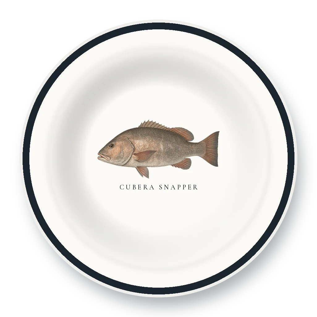 Enamel Bowl with Cubera Snapper illustration