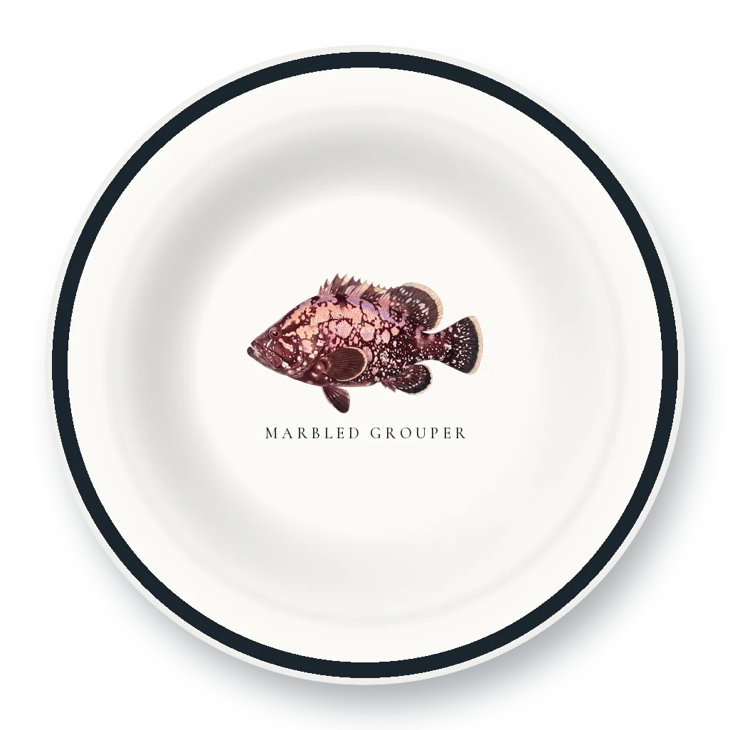 Enamel Bowl with Marbled Grouper illustration