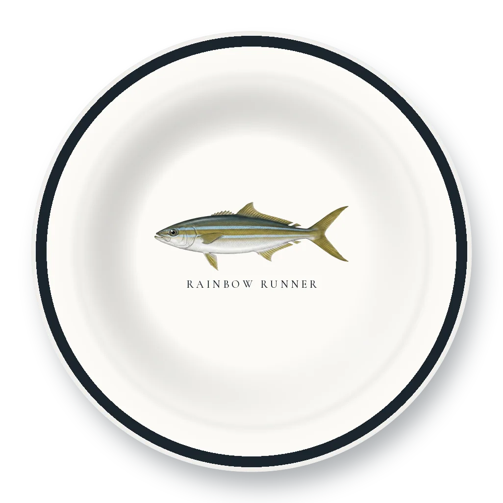 Enamel Bowl with Rainbow Runner illustration
