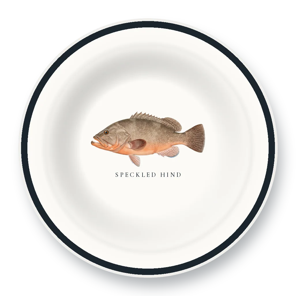 Enamel Bowl with Speckled Hind illustration