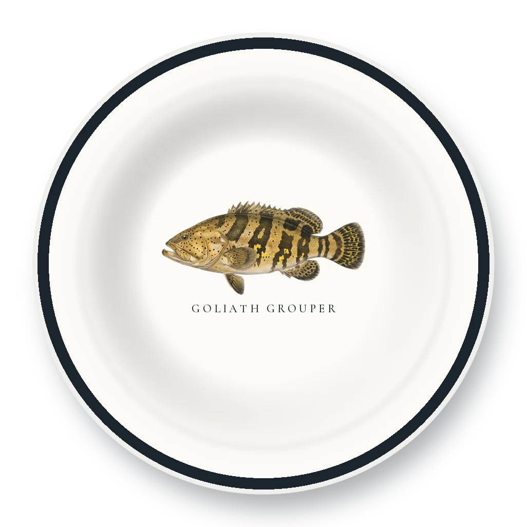 Enamel Bowl with Goliath Grouper illustration