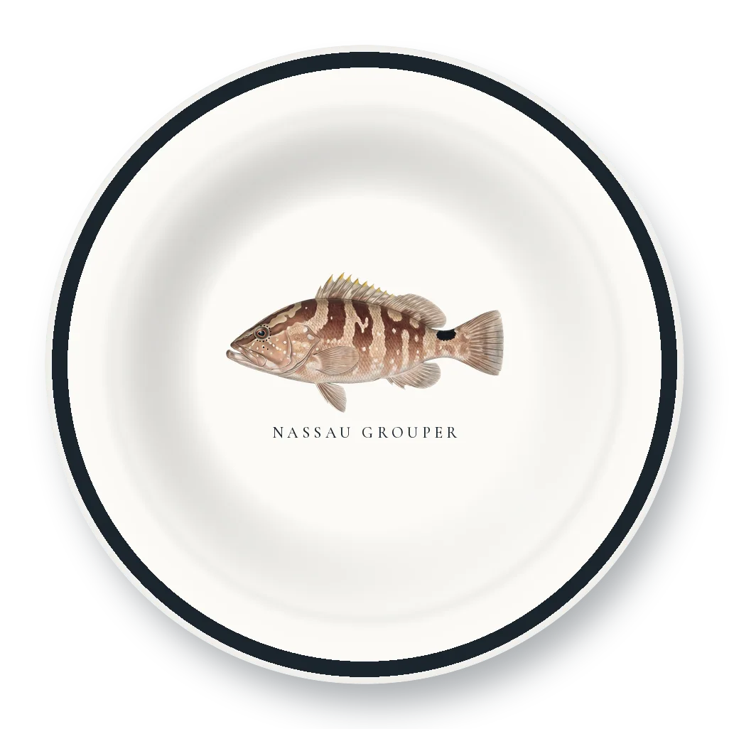 Enamel Bowl with Nassau Grouper illustration