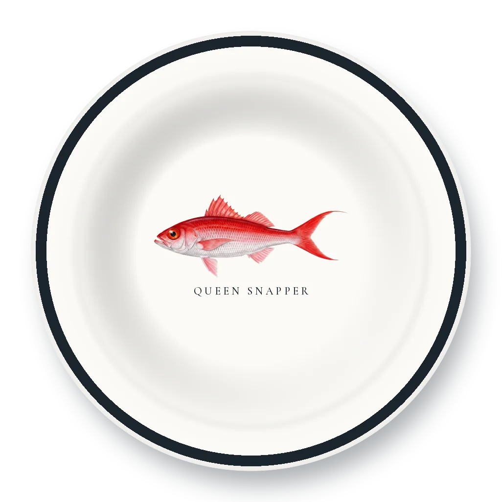 Enamel Bowl with Queen Snapper illustration