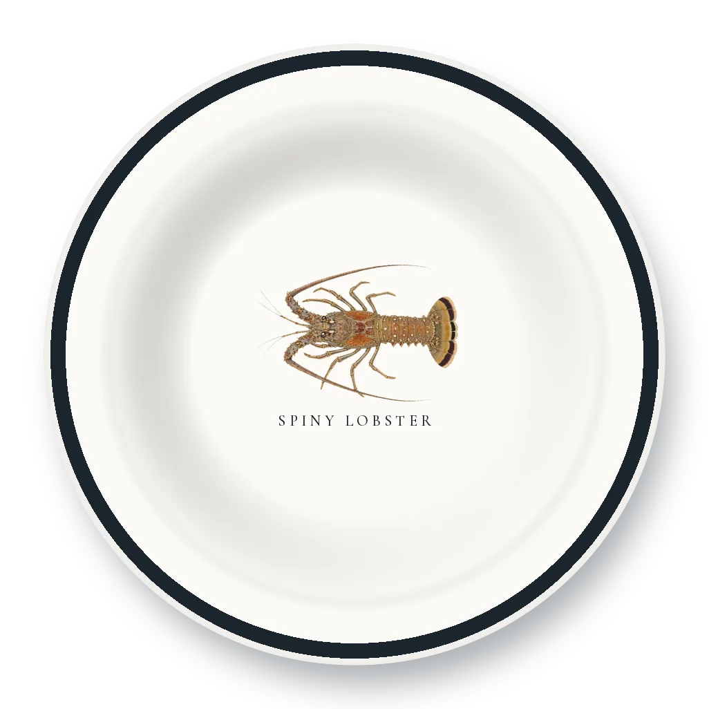 Enamel Bowl with Spiny Lobster illustration