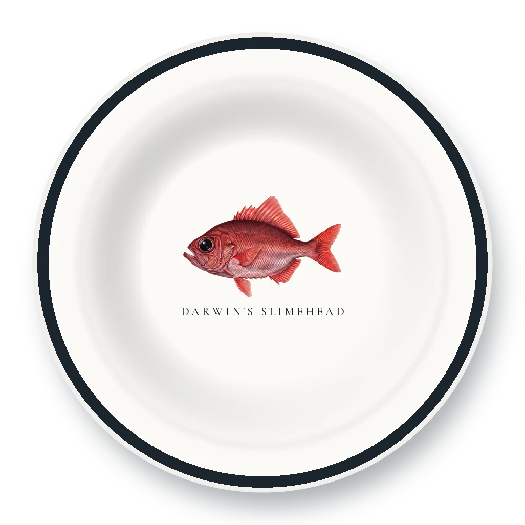 Enamel Bowl with Darwin's Slimehead illustration