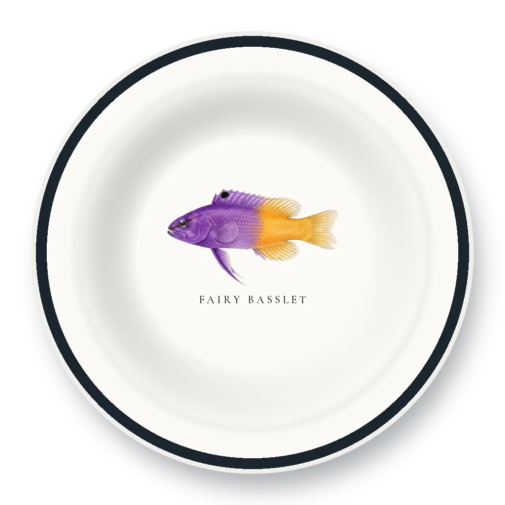 Enamel Bowl with Fairy Basslet illustration