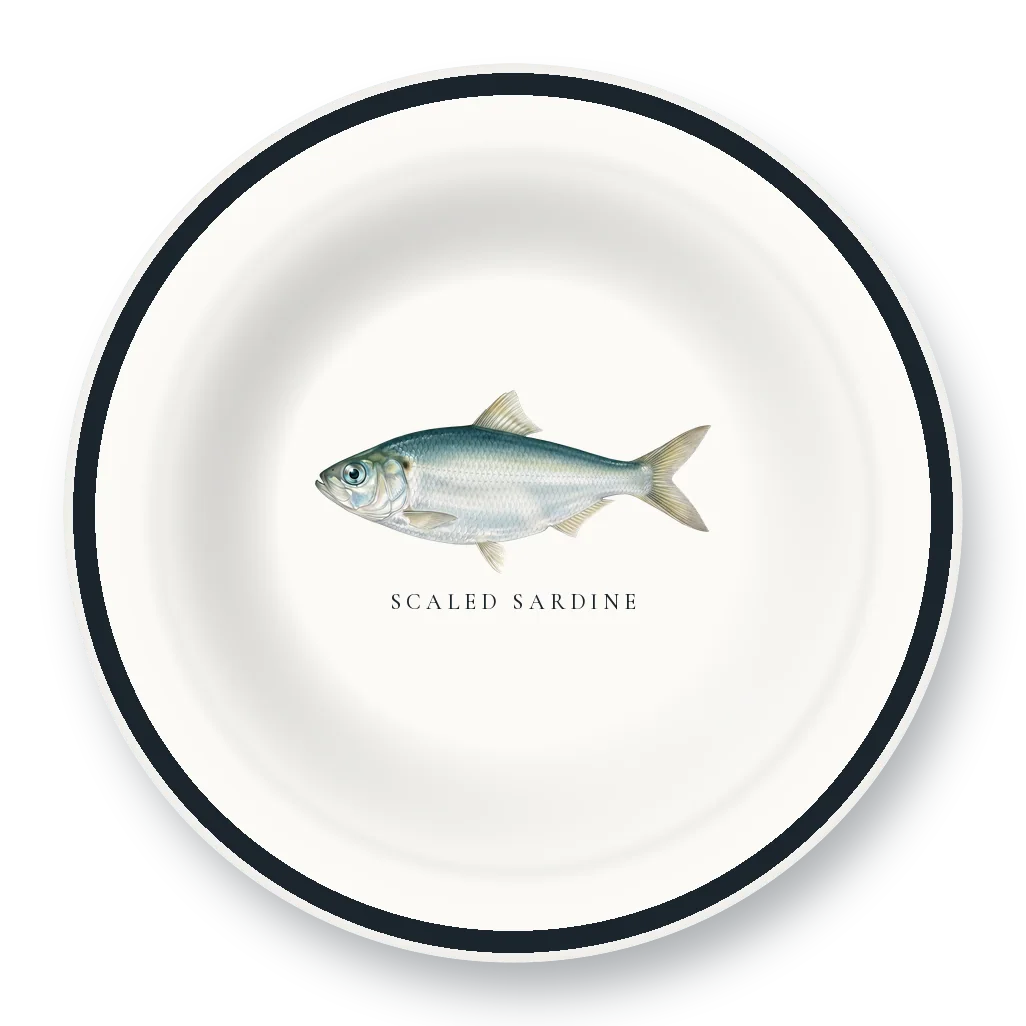 Enamel Bowl with Scaled Sardine illustration