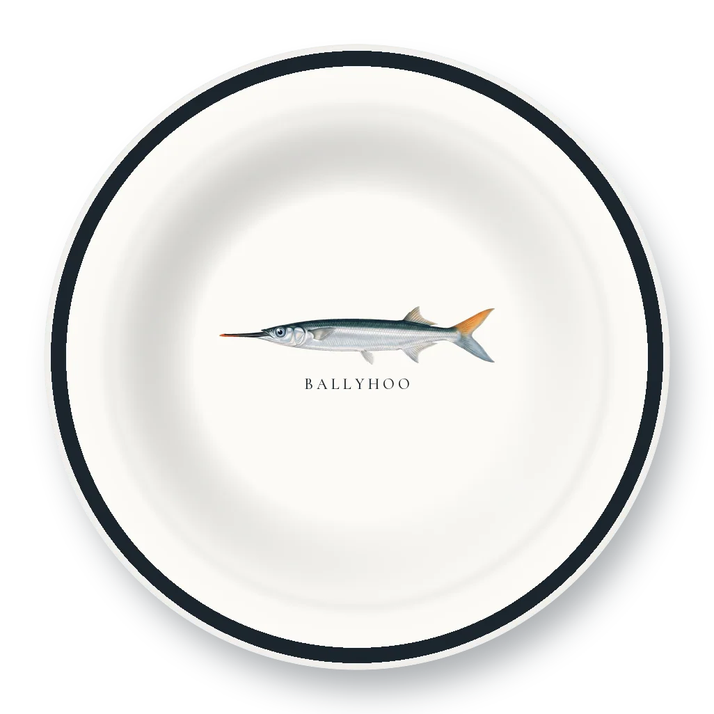 Enamel Bowl with Ballyhoo illustration