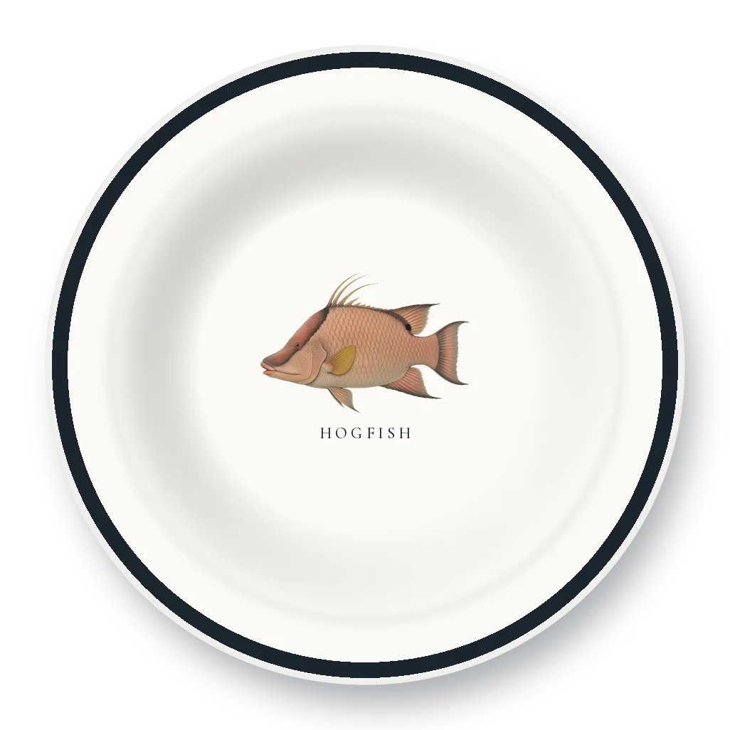 Enamel Bowl with Hogfish illustration