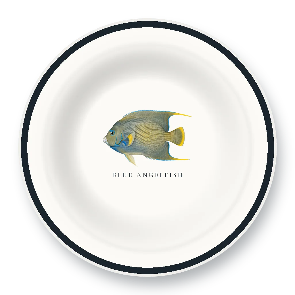 Enamel Bowl with Blue Angelfish illustration