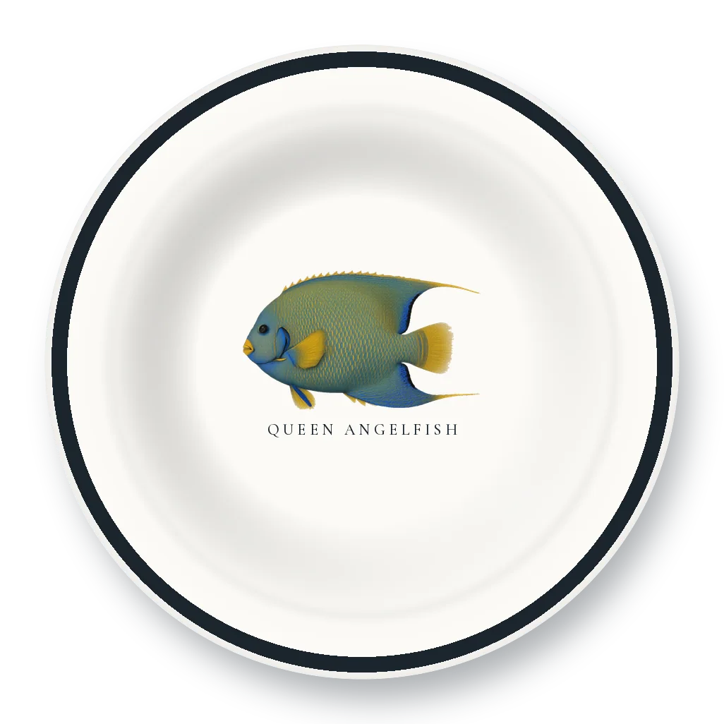 Enamel Bowl with Queen Angelfish illustration