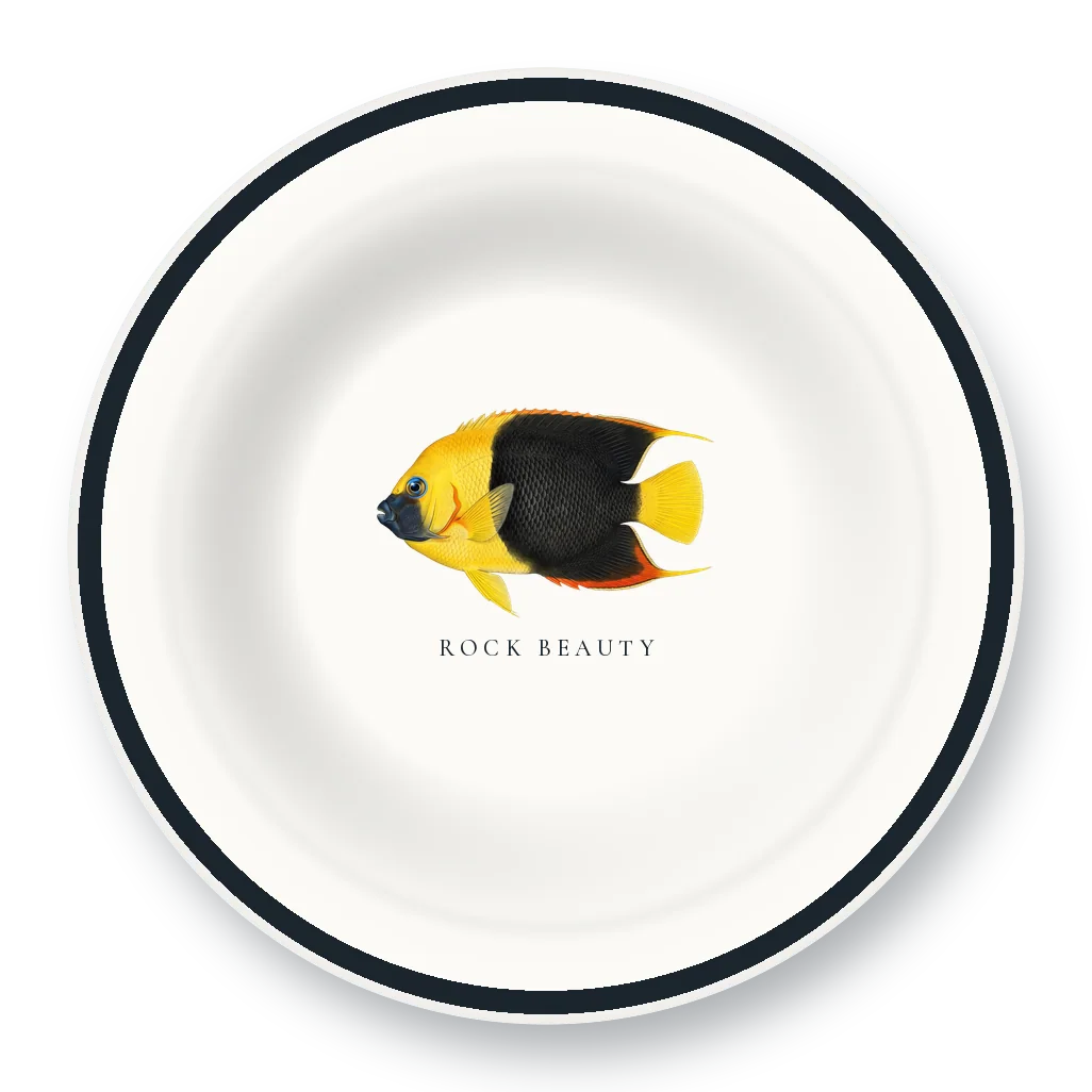 Enamel Bowl with Rock Beauty illustration