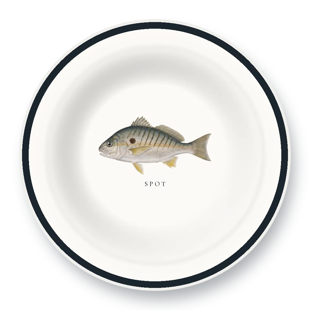 Enamel Bowl with Spot illustration