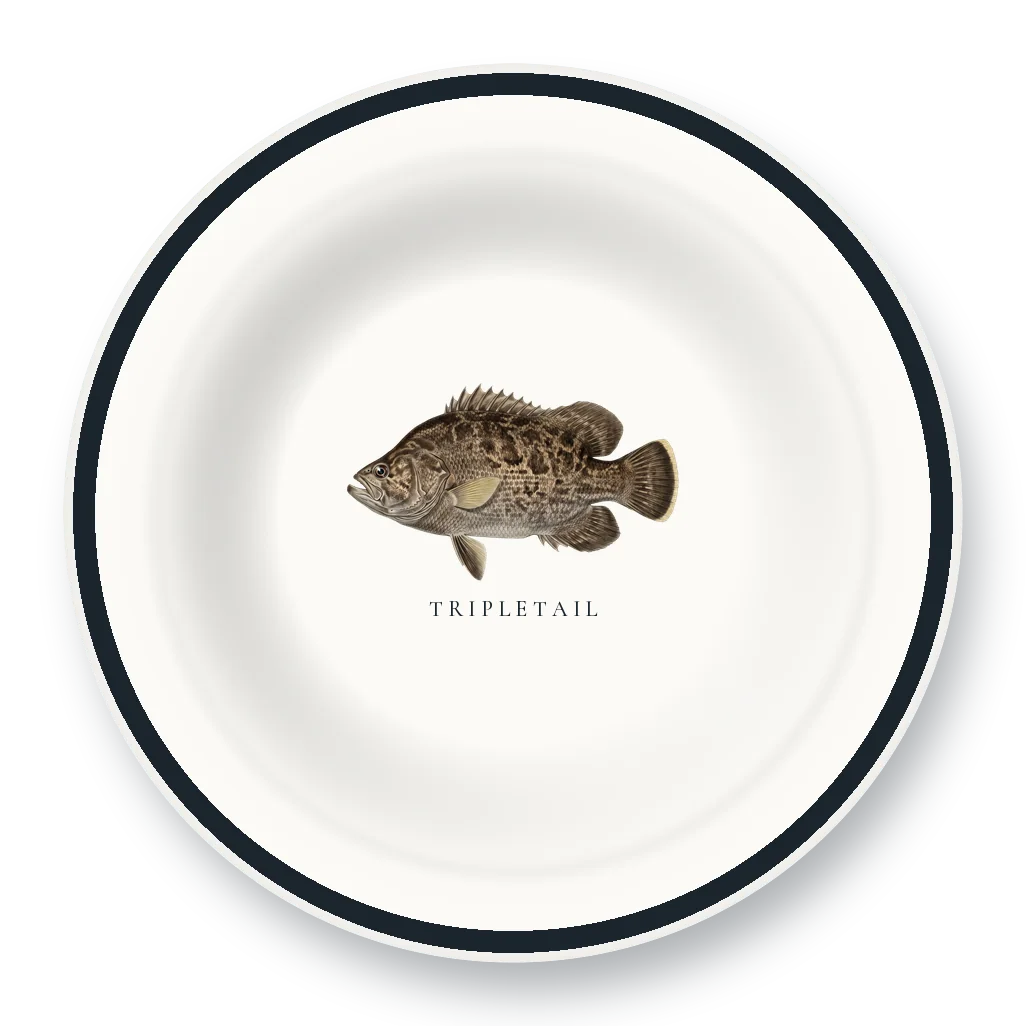 Enamel Bowl with Tripletail illustration