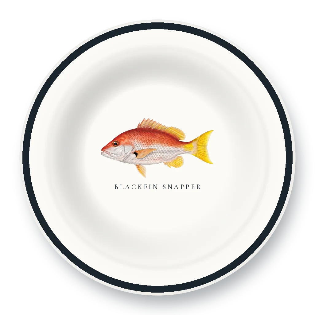 Enamel Bowl with Blackfin Snapper illustration