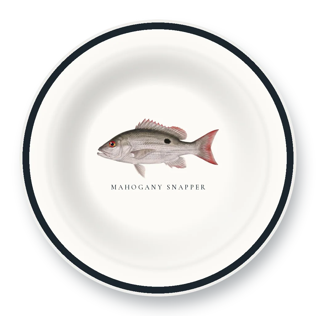 Enamel Bowl with Mahogany Snapper illustration