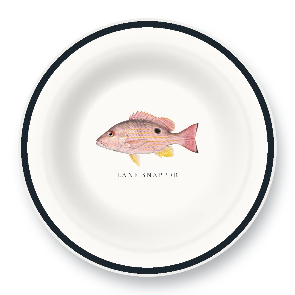 Enamel Bowl with Lane Snapper illustration