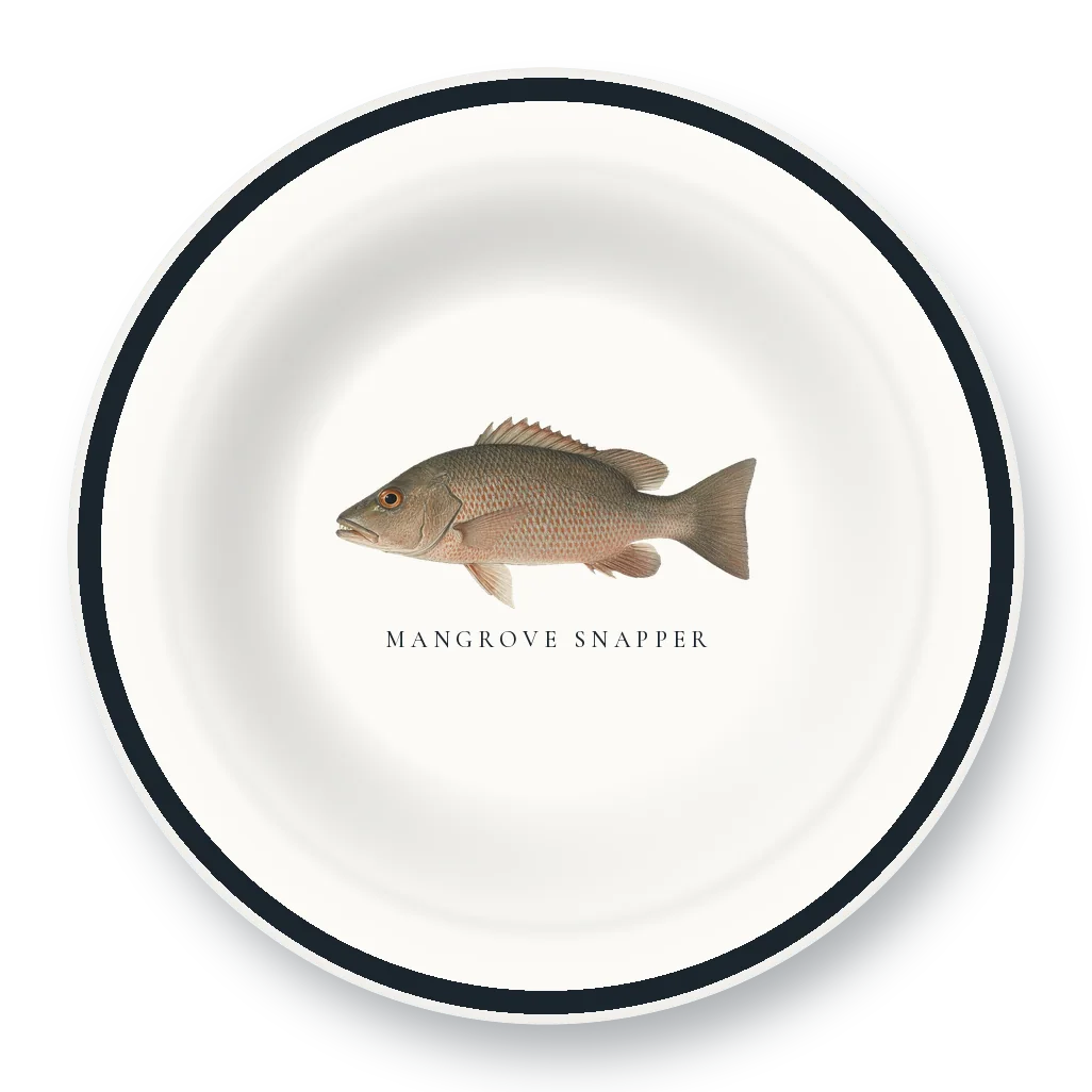 Enamel Bowl with Mangrove Snapper illustration