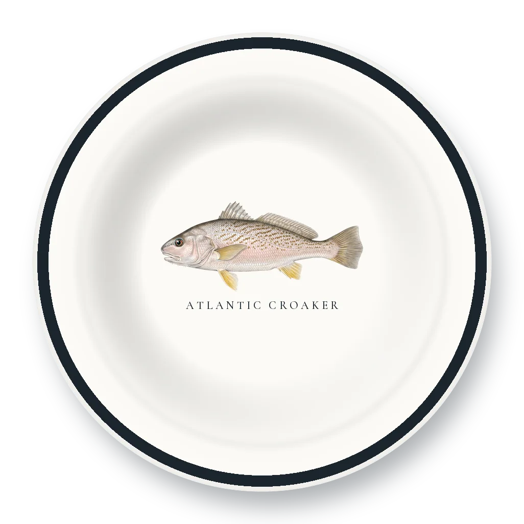 Enamel Bowl with Atlantic Croaker illustration