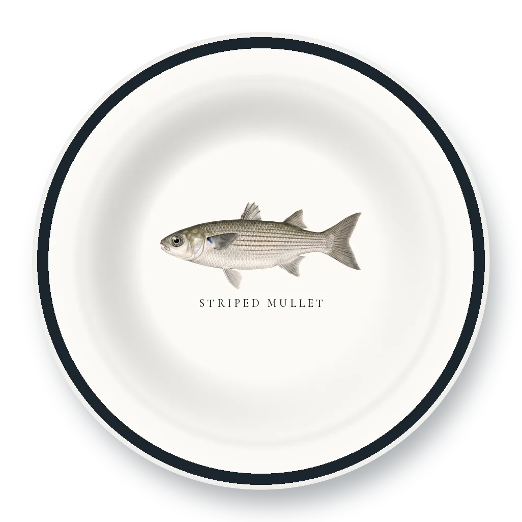 Enamel Bowl with Striped Mullet illustration