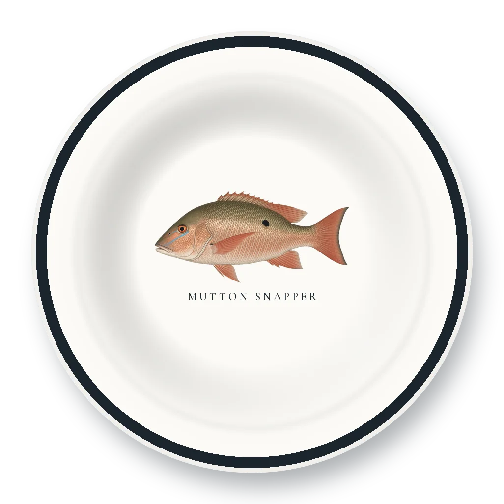 Enamel Bowl with Mutton Snapper illustration